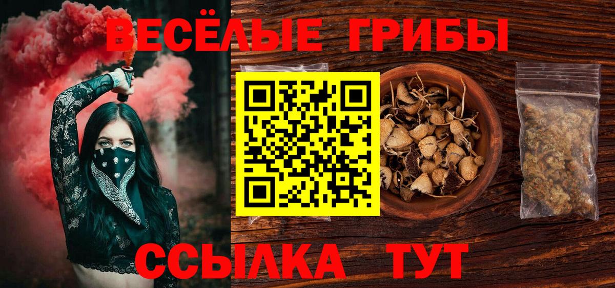 Гусев  Псилоцибиновые грибы прущие грибы  Галлюциногенные грибы Psilocybe  Вход с VPN 