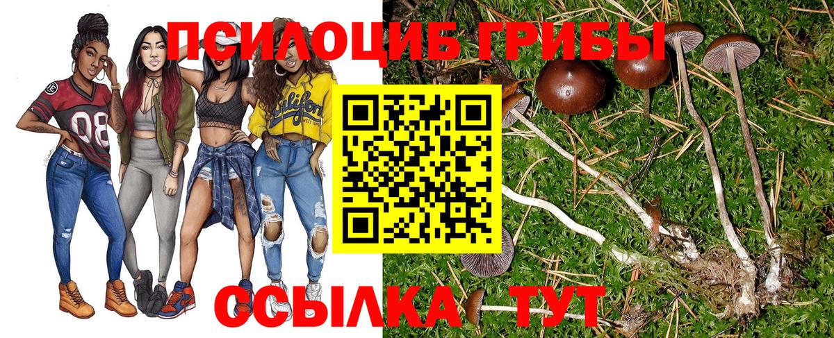 Галлюциногенные грибы Psilocybine cubensis Гусев
